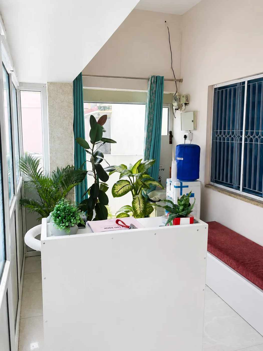 Smile Zone reception area with a white desk, seating and plants